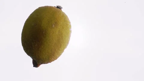 Lemon floating in water, still Vídeos de archivo 147982890