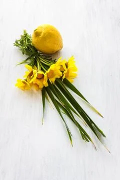 Lemon with flowers Stock Photos