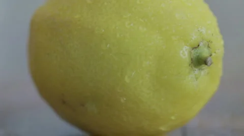 Lemon Stock Footage 913672