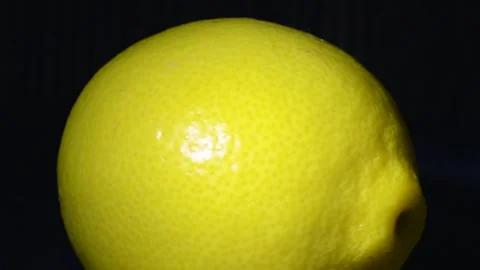Lemon Stock Footage 155102191