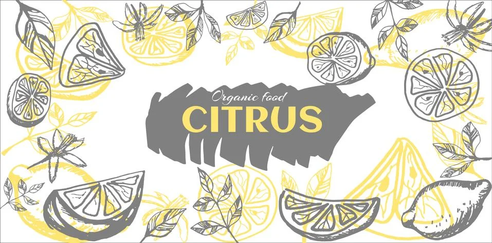 Lemon frame hand drawn. Stock Illustration