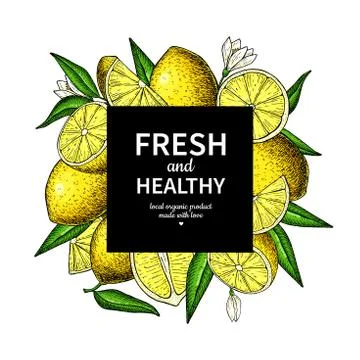 Lemon frame vector drawing. Citrus fruit square label template Stock Illustration