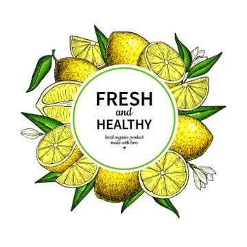 Lemon frame vector drawing. Citrus fruit circle label template. Stock Illustration