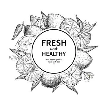 Lemon frame vector drawing. Citrus fruit engraved circle label t Stock Illustration