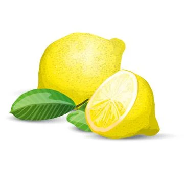 Lemon fresh composition Illustrazione stock