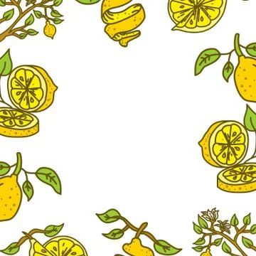 Lemon Fruit Frame Empty Template Vector Stock Illustration
