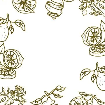 Lemon Fruit Frame Empty Template Vector Stock Illustration