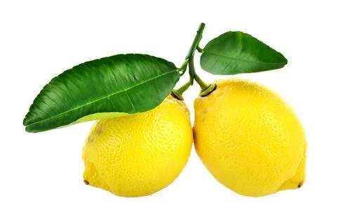 Lemon fruit with green leaf isolated on white background. lemon juice, rind,  Stock Photos