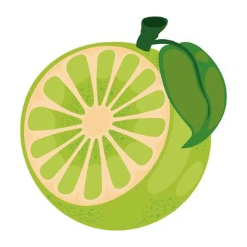 Lemon fruit icon Stock Illustration