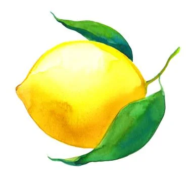 Lemon fruit Stock Illustration