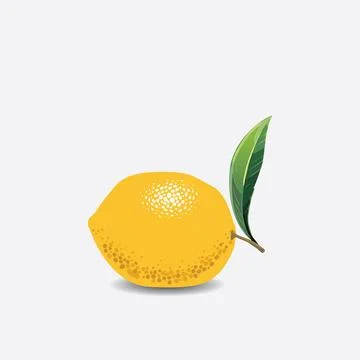 Lemon fruit illustration isolated EPS Vector Stock Illustration