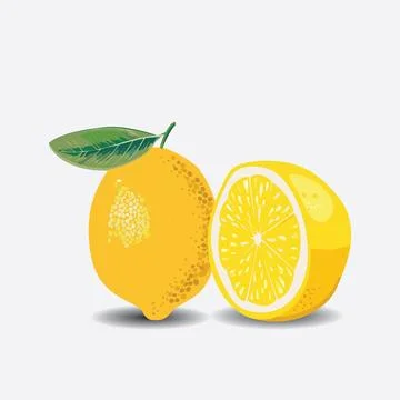 Lemon fruit illustration isolated EPS Vector Stock Illustration