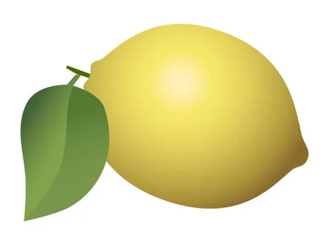 Lemon fruit isolated on white background Stock Illustration