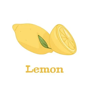 Lemon fruit isolated on a white background vector illiustation Stock Illustration