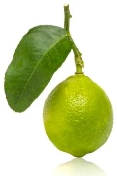 Lemon Fruit isolated on white background Stock Photos