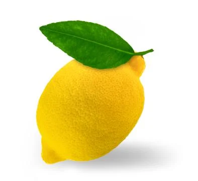 Lemon fruit with leaf isolated over white background. Stock-Fotos