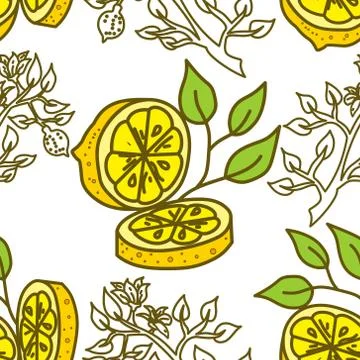 Lemon Fruit Pattern Seamless Vector Template Stock Illustration
