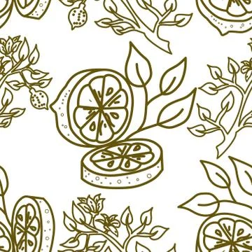 Lemon Fruit Pattern Seamless Vector Template Illustrazione stock