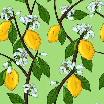 Lemon fruit pattern, summer print. Citrus food, abstract floral leaf, bright Stock Illustration