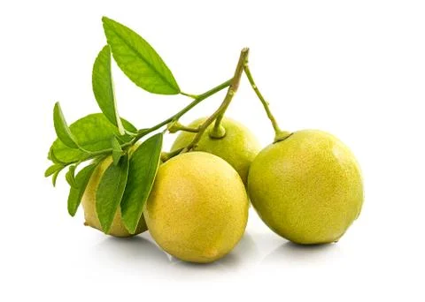 Lemon fruit Stock Photos