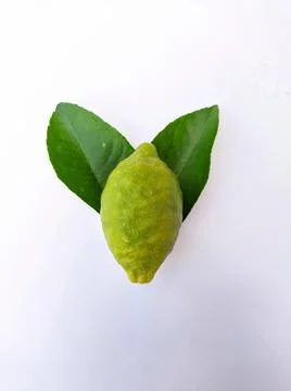 Lemon fruit Stock Photos