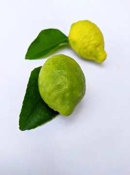 Lemon fruit Stock Photos