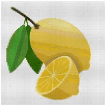 Lemon fruit slice with leaf on white background 스톡 일러스트