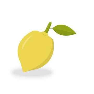 Lemon fruit vector isolate on white background for graphic design, logo, web Stock Illustration