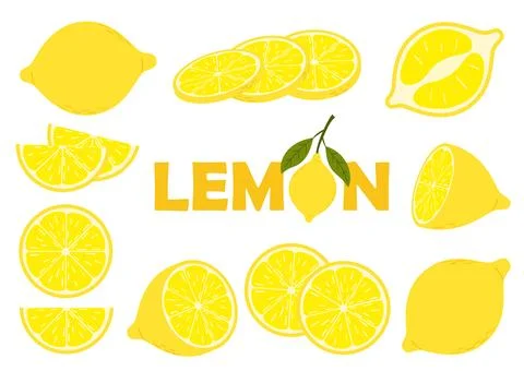 Lemon fruit vector set with whole, sliced, and halved lemons, isolated on w.. Stock Illustration
