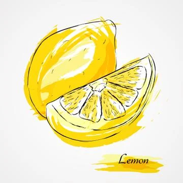 Lemon fruits Stock Illustration
