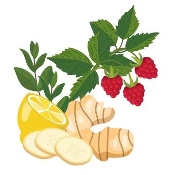 Lemon, ginger, mint, raspberry. Natural remedies, folk medicine Stock Illustration