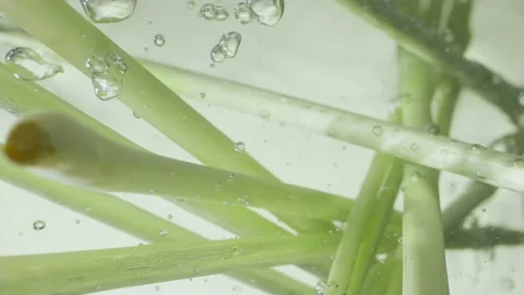 Lemon grass drop in water Vídeo Stock 157670446