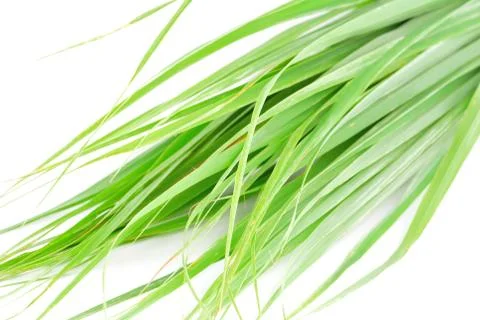 Lemon grass leaf Stock Photos