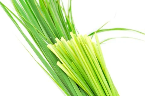 Lemon grass leaf Stock Photos