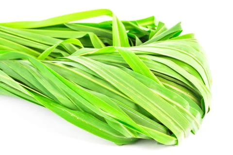 Lemon grass leaf Stock Photos
