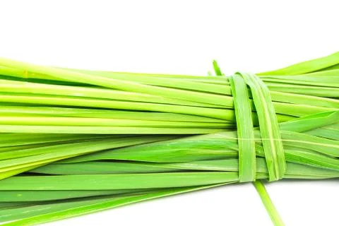 Lemon grass leaf Stock Photos