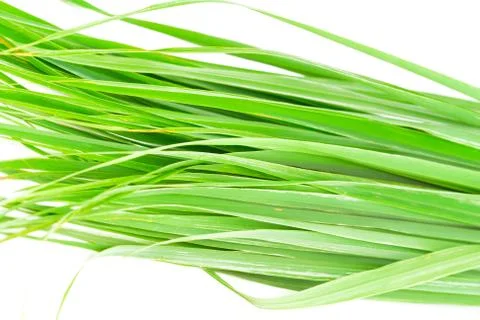 Lemon grass leaf Stock Photos