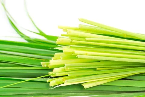 Lemon grass leaf Stock Photos