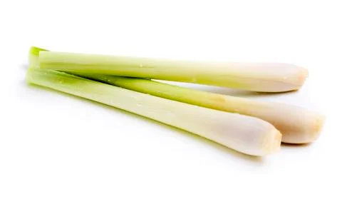 Lemon grass Stock Photos