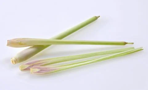 Lemon grass Stock Photos