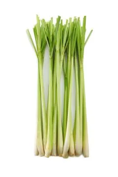 Lemon grass Stock Photos