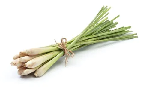 Lemon grass Stock Photos