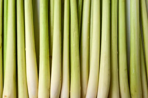Lemon grass Stock Photos