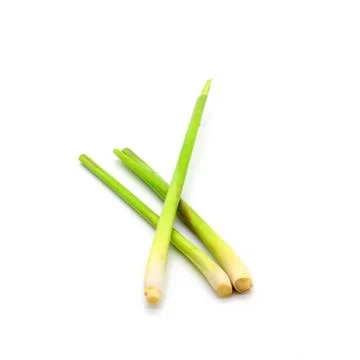 Lemon grass on white background Stock Photos