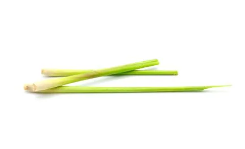 Lemon grass on white background Stock Photos