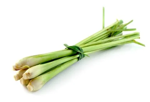 Lemon grass on white background Stock-Fotos