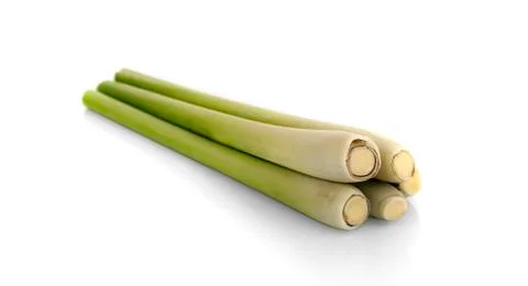 Lemon grass on white background Stock Photos