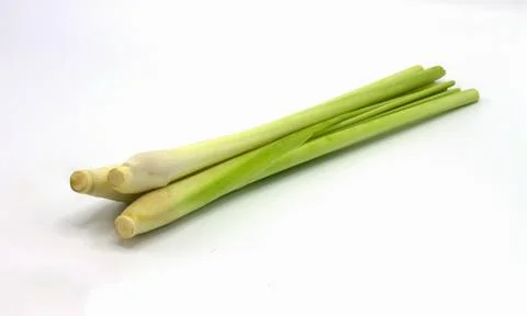 Lemon grass on white background Stock Photos
