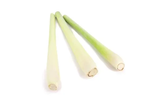 Lemon grass on white background Stock Photos