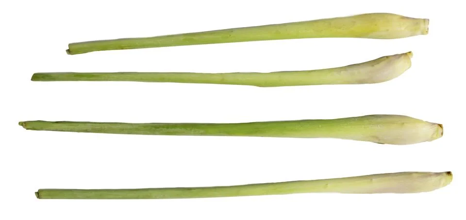 Lemon grass on a white background Stock Photos